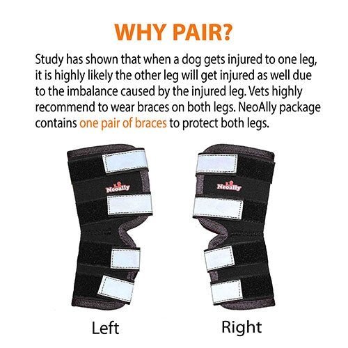 NeoAlly Support Dog Back Brace