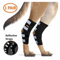 NeoAlly Support Dog Back Brace