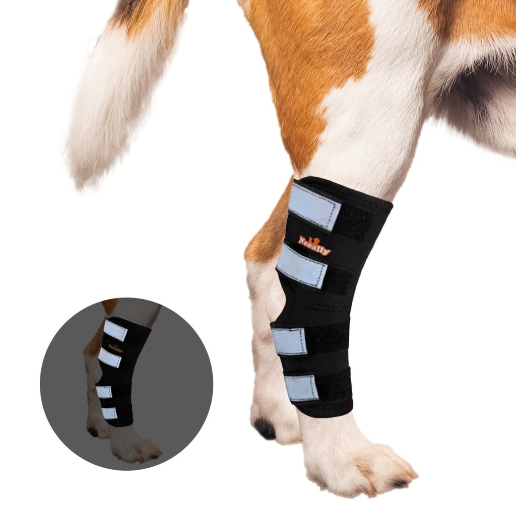 NeoAlly Support Dog Back Brace
