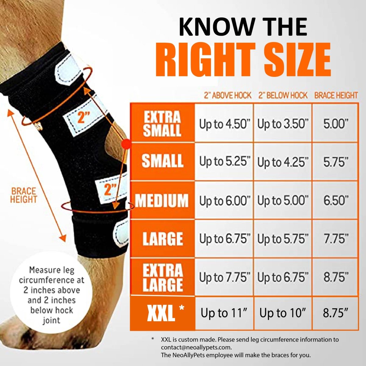 NeoAlly Support Dog Back Brace