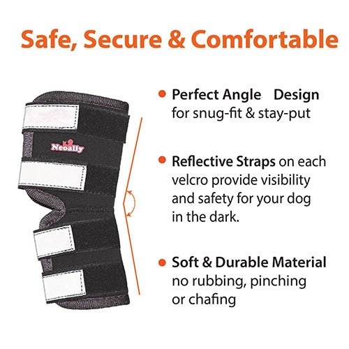 NeoAlly Support Dog Back Brace