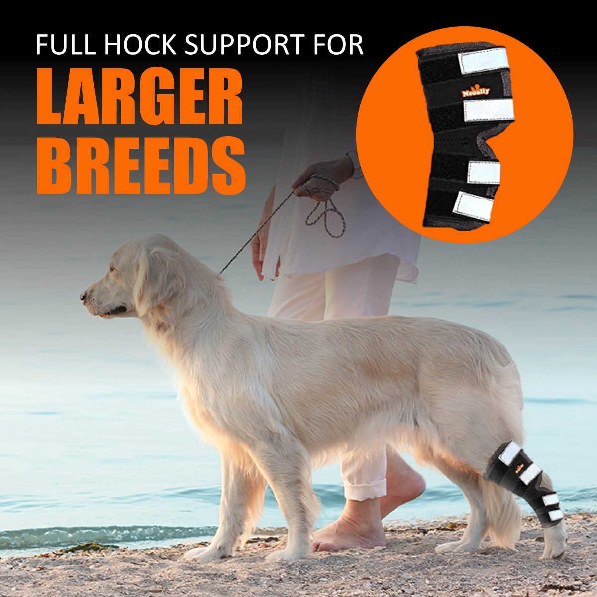 NeoAlly Support Dog Back Brace