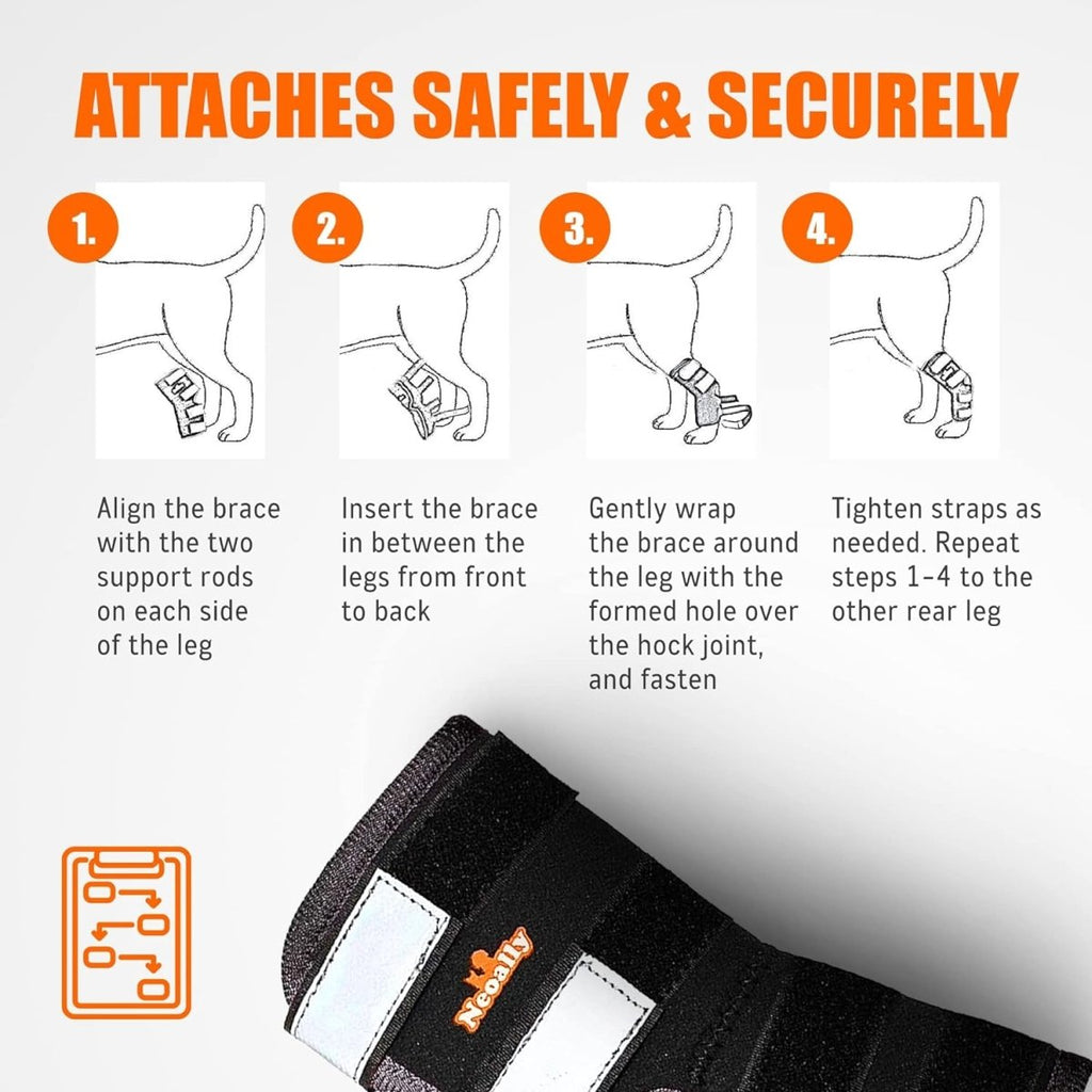 NeoAlly Support Dog Back Brace