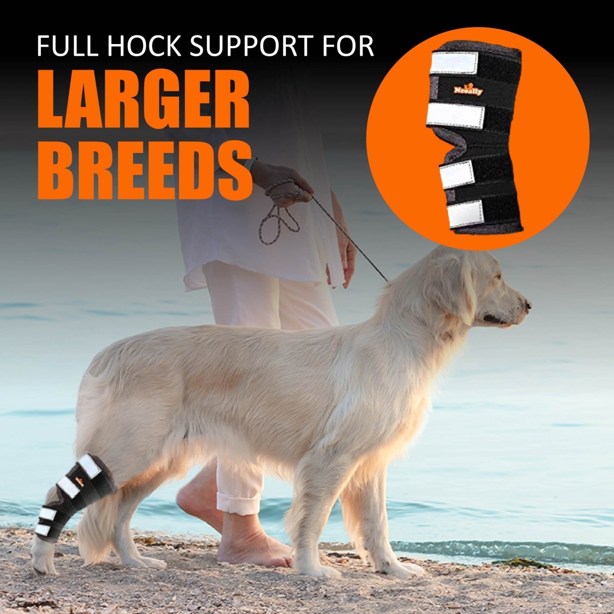 NeoAlly Support Dog Back Brace